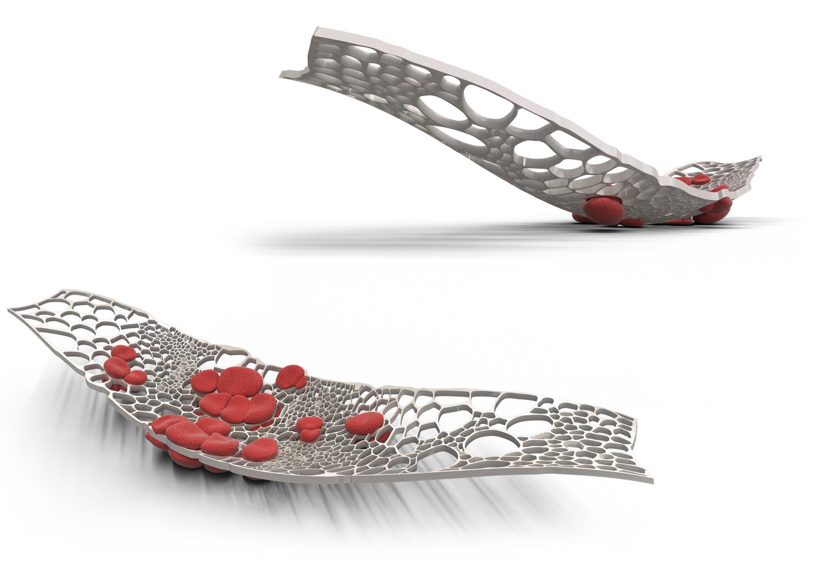 views of 'Cyto' organic design